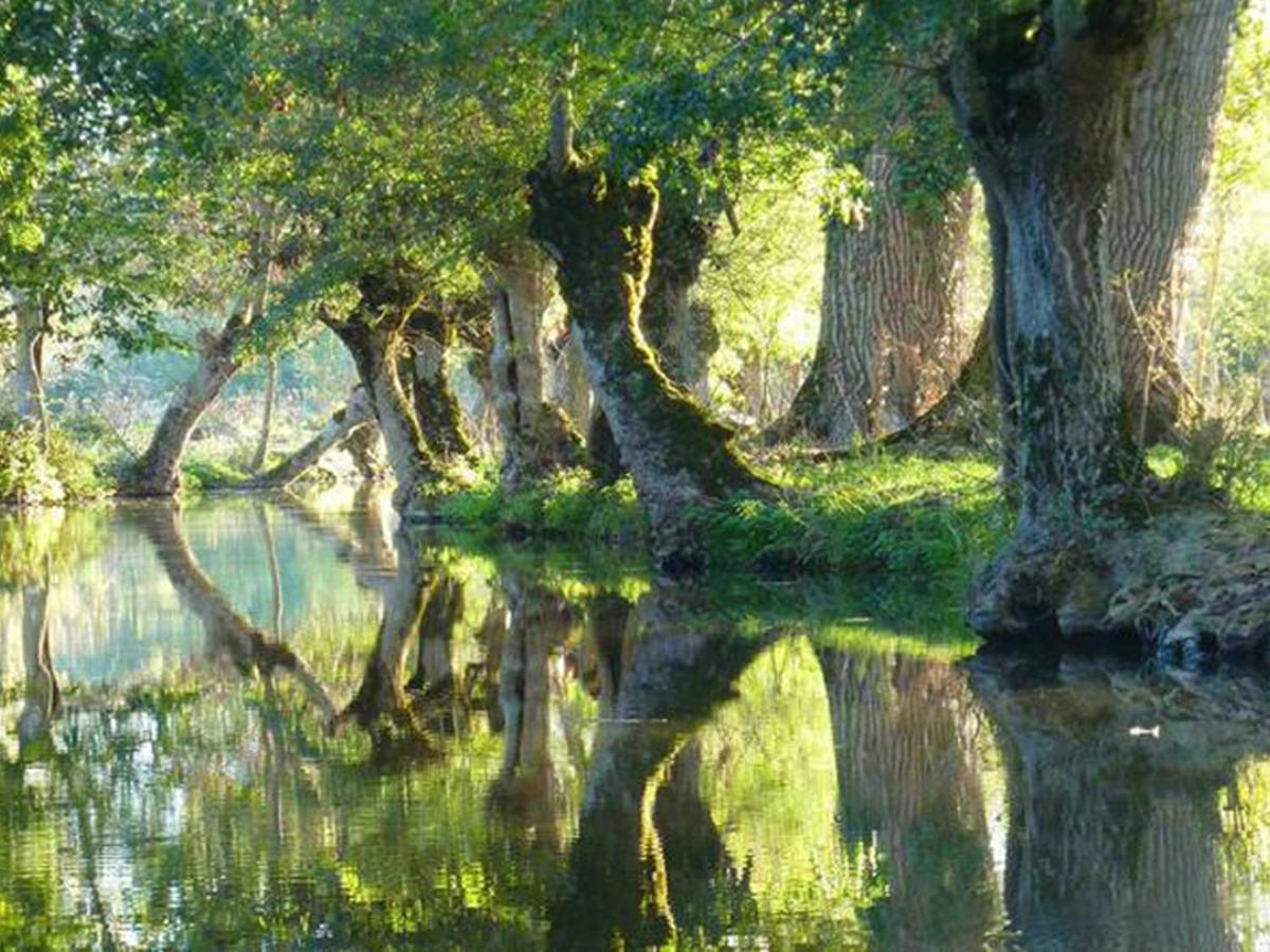 La Laujere Ivie - Gite & Piscine Privative Saint-Hilaire-du-Bois  外观 照片